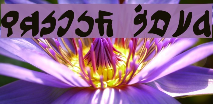 Tuigan Bold Font examples