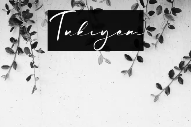 Tukiyem Font examples