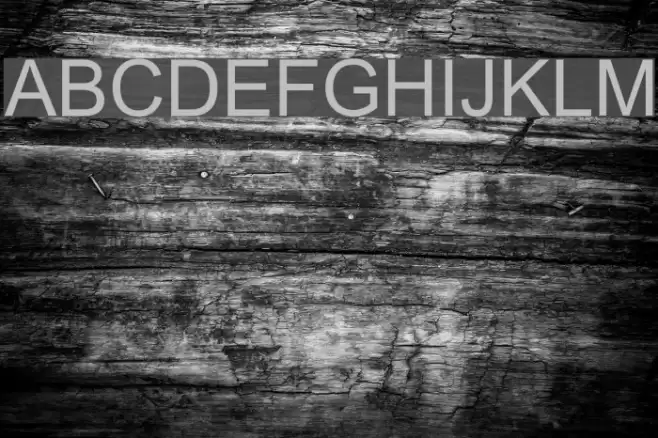 Tulasi Normal Font examples