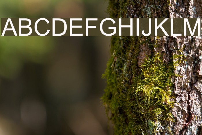 Tulasi Normal Font examples