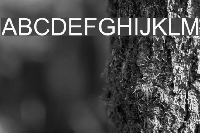 Tulasi Normal Font examples