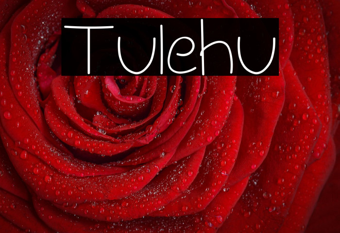 Tulehu Example 1