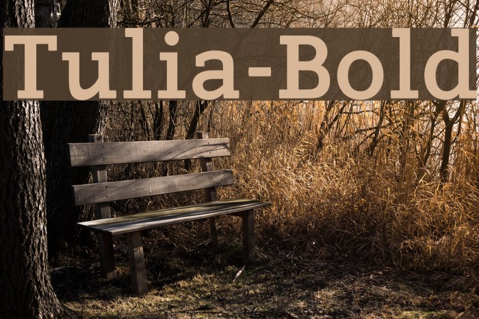 Tulia-Bold Example 1