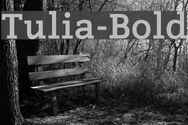 Tulia-Bold Font examples