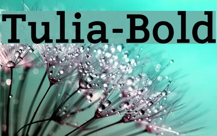 Tulia-Bold Example 2