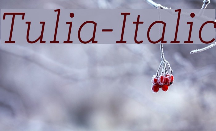 Tulia-Italic Font examples
