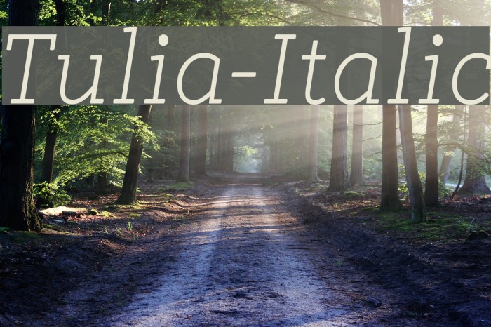 Tulia-Italic Font examples