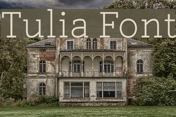 Tulia Font examples