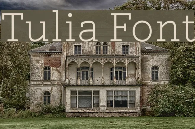 Tulia Example 3