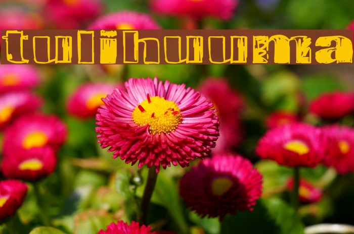 Tulihuuma Font examples