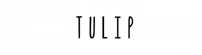 Tulip フォント