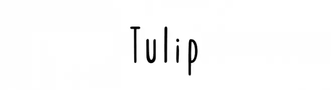 Tulip  नि: शुल्क फ़ॉन्ट्स डाउनलोड