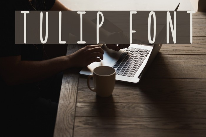 Tulip フォント examples