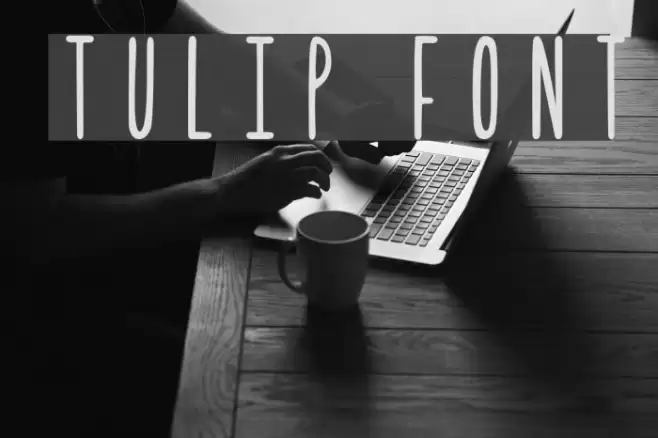 Tulip フォント examples