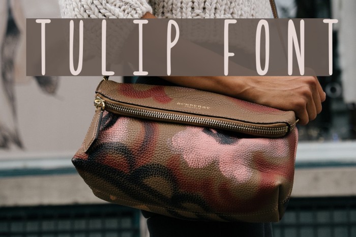 Tulip フォント examples