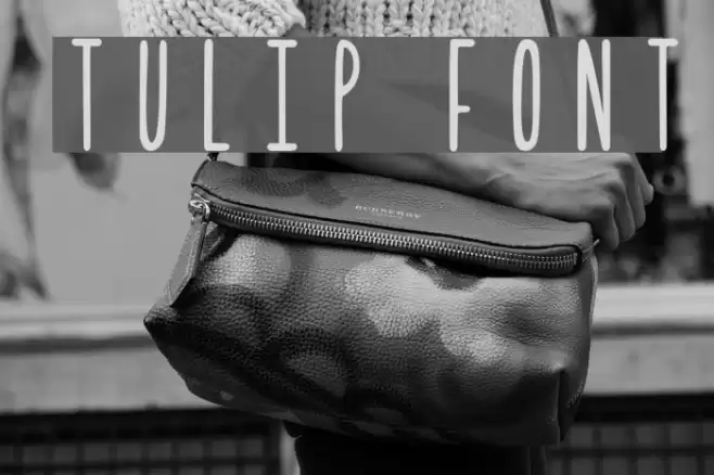 Tulip フォント examples