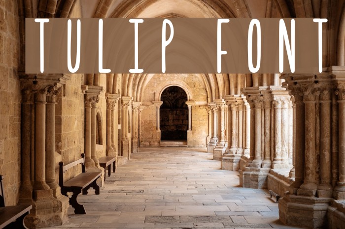 Tulip フォント examples