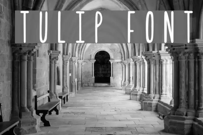 Tulip フォント examples