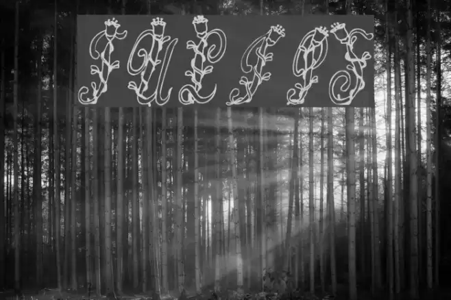 Tulips Font examples