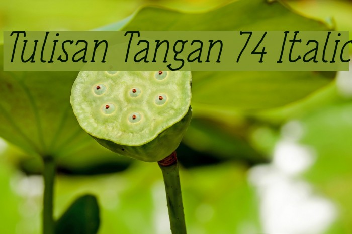 Tulisan Tangan 74 Italic Font examples