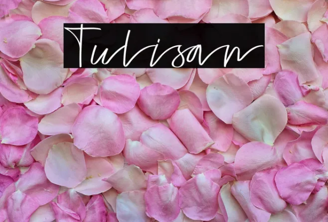 Tulisan Example 1