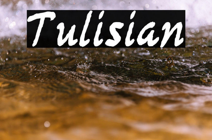 Tulisian Example 1