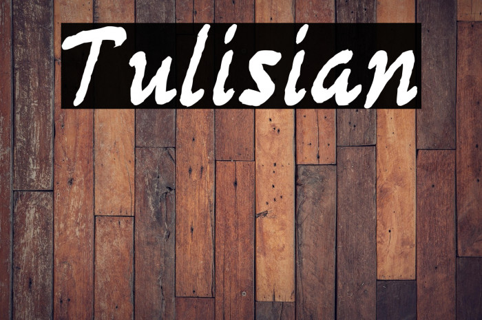 Tulisian Example 2