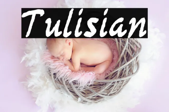 Tulisian Example 3