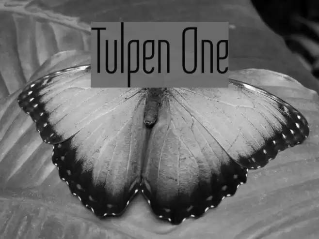 Tulpen One Font examples