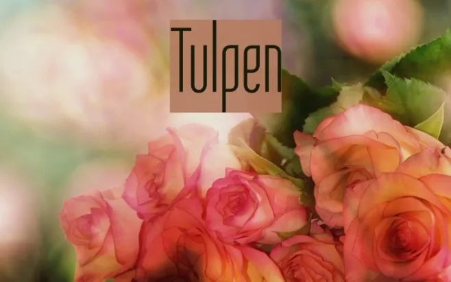 Tulpen Example 2
