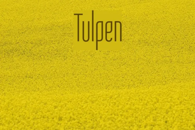 Tulpen Example 3