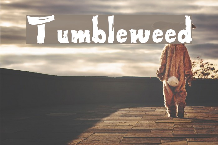 Tumbleweed Font examples