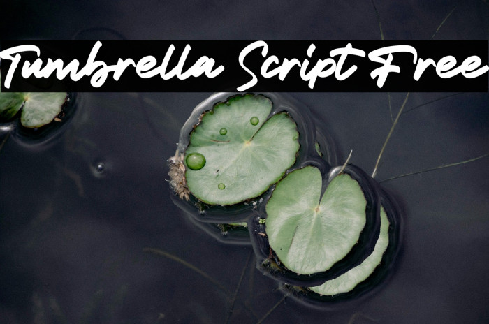 Tumbrella Script Free Example 1