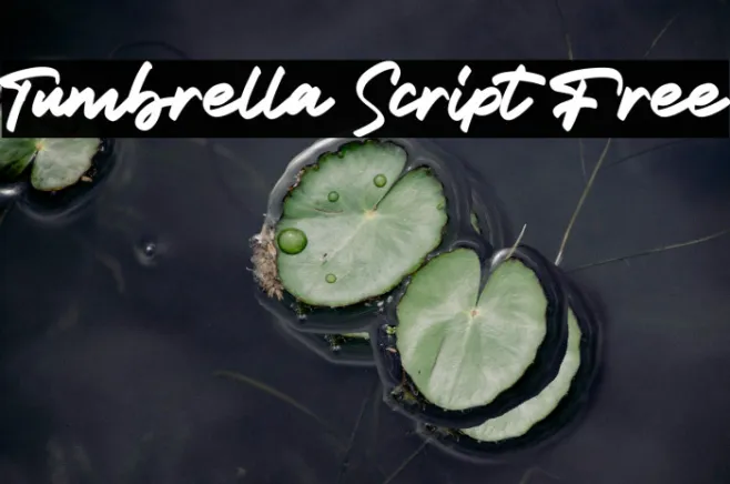 Tumbrella Script Free Example 1