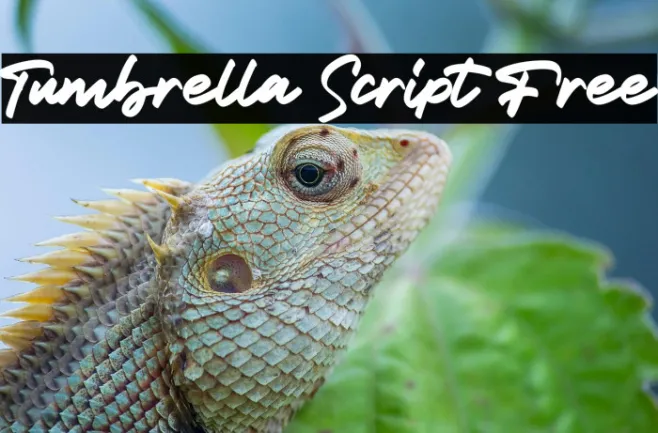 Tumbrella Script Free Example 2