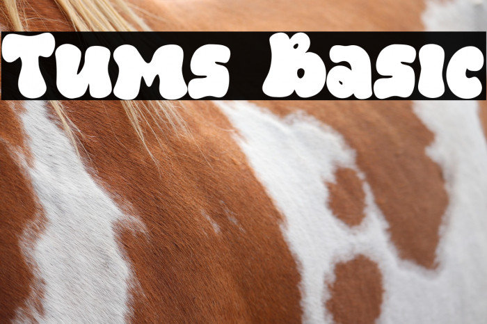 Tums Basic Example 1