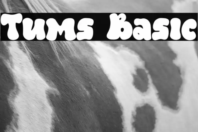 Tums Basic フォント examples