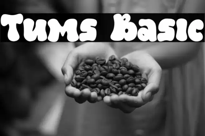 Tums Basic フォント examples