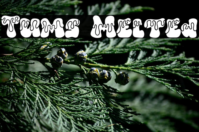 Tums Melted Example 3