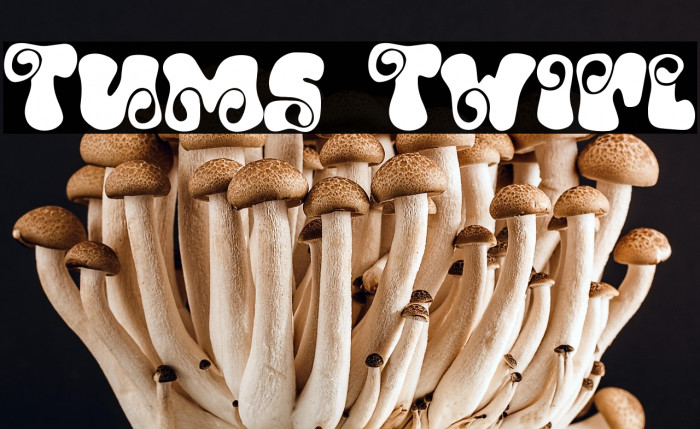 Tums Twirl Example 3