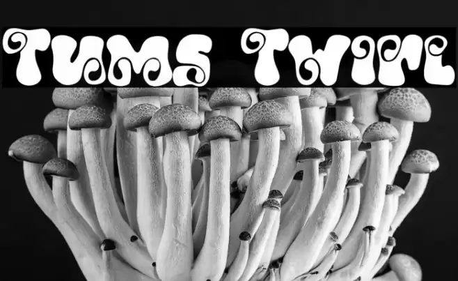 Tums Twirl Font examples