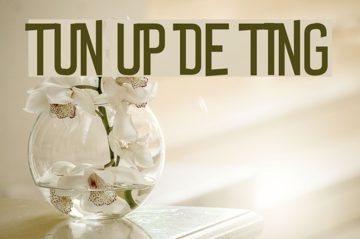 Tun Up De Ting Font examples