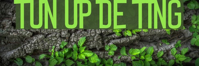 Tun Up De Ting Font examples
