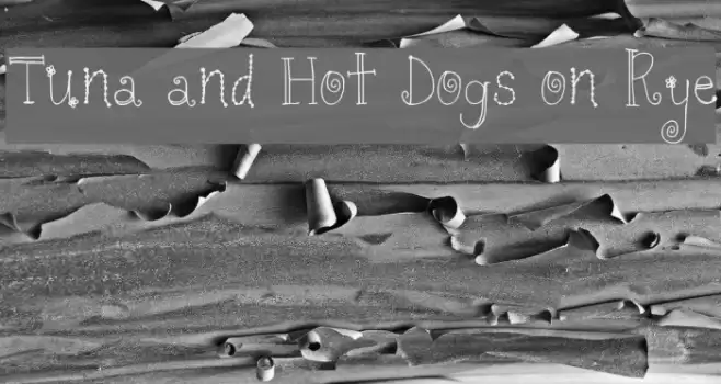 Tuna and Hot Dogs on Rye Font examples