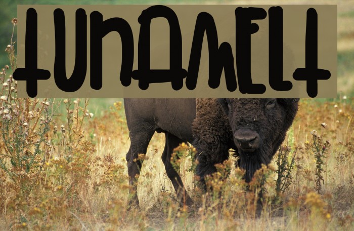 TunaMelt Font examples