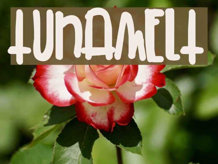 TunaMelt Font examples