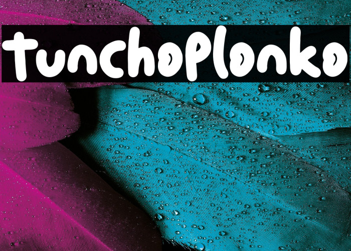 Tuncho Plonko Example 3