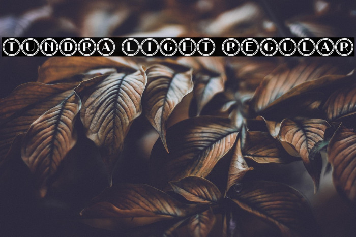 Tundra Light Regular Example 2