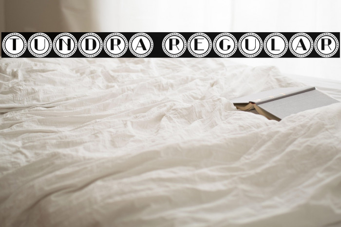 Tundra Regular Example 1