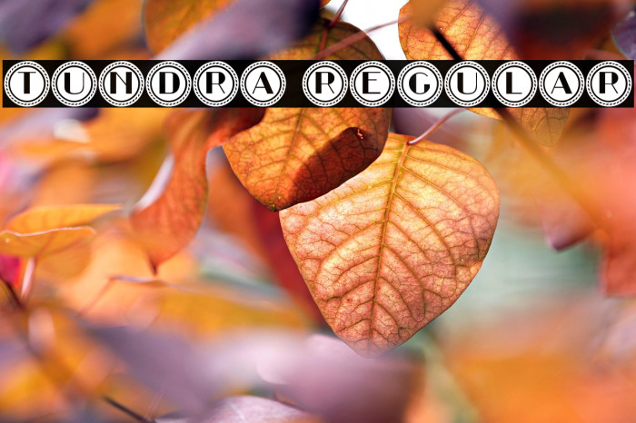 Tundra Regular Example 2